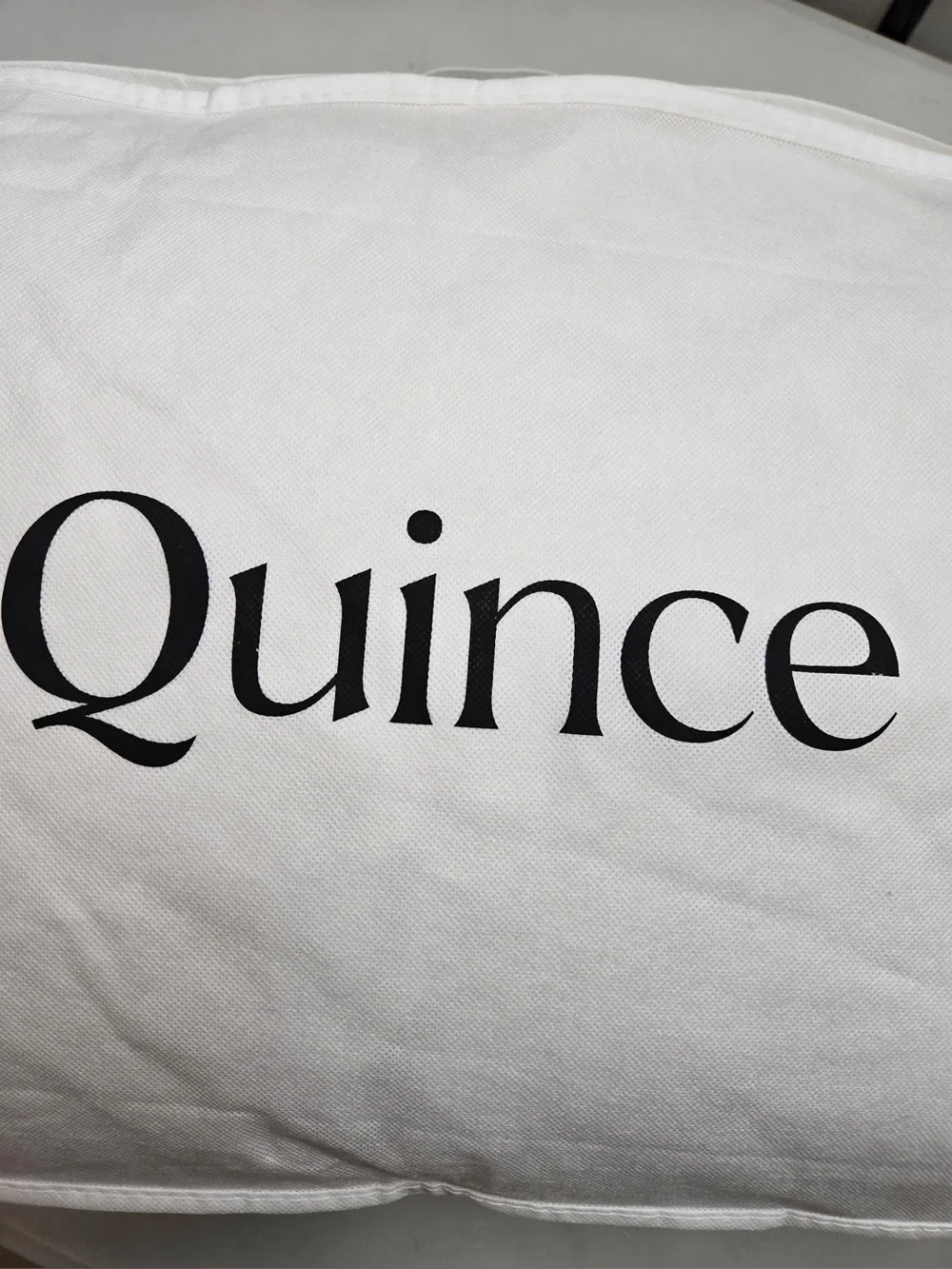 QUINCE Luxe Goose Down Pillow Soft King 9862